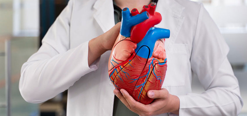 Minimally Invasive Cardiac Surgery (MICS)